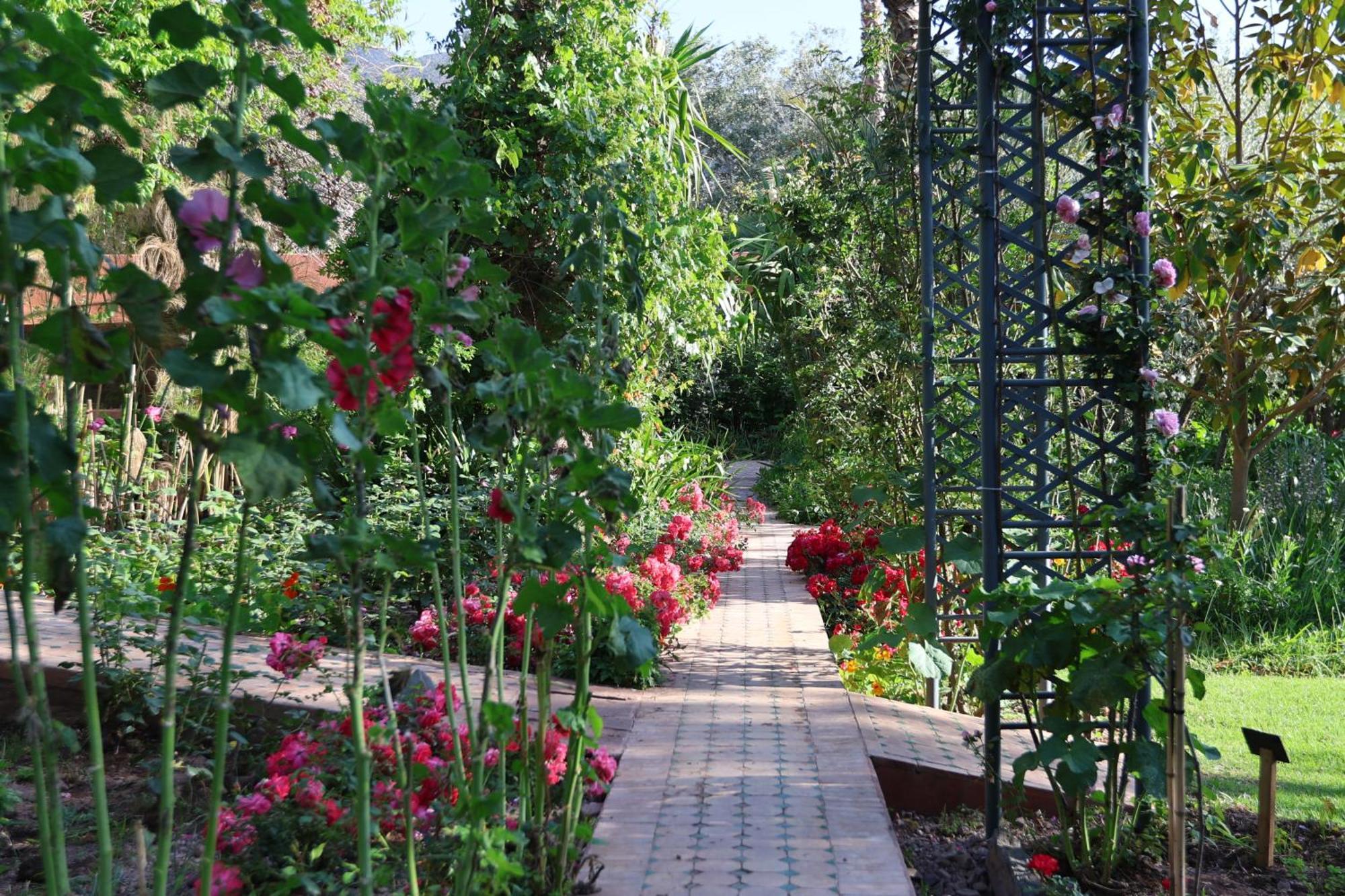 Domaine De La Roseraie Resort&spa Hotel Ouirgane